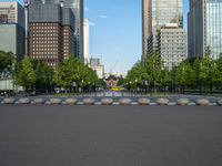 a row of trees, road, and buildings in a city with water fountains