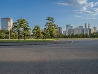 Tokyo Central Station: Modern Architecture Amidst Greenery