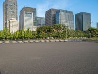 Tokyo Central Station: Skyline in the Urban Cityscape