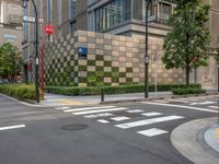 City Life in Tokyo: Crosswalks and Urban Design