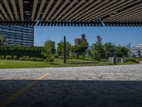 Tokyo City Life: Hard Shadows and Modern Architecture