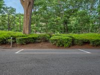 the park has trees on both sides and a fence with no grass on it, along side a road in a wooded area