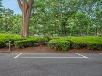 the park has trees on both sides and a fence with no grass on it, along side a road in a wooded area