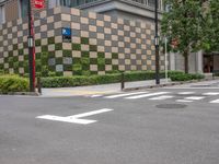 Tokyo City Road with Office Building and Crosswalk