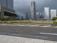 Tokyo Cityscape on a Gloomy Day