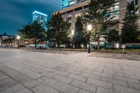 Tokyo Cityscape at Night: Plaza Ice