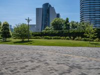 Tokyo: Clear Sky Day in the Urban Landscape