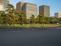 Tokyo Edo Park in Japan at Dawn