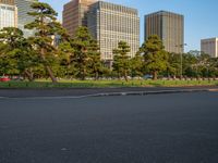 Tokyo Edo Park in Japan at Dawn