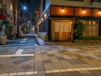 Tokyo, Japan: City Night Life