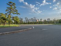 Tokyo, Japan: Recreational Greenery in the Cityscape