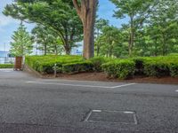 the park has trees on both sides and a fence with no grass on it, along side a road in a wooded area