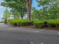 the park has trees on both sides and a fence with no grass on it, along side a road in a wooded area