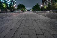 Tokyo Night Cityscape: Road Lined with Trees