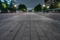 Tokyo Night Cityscape: Road Lined with Trees