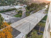 Top-Down View: Aerial Bridge in Los Angeles