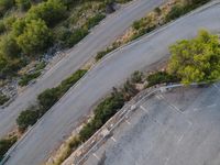 the view from above of the winding road and tree branches as it moves up it