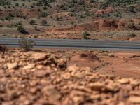 Top-Down View of a Road: Embracing Utah's Natural Beauty