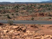 Top-Down View of a Road: Embracing Utah's Natural Beauty