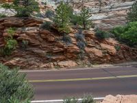 Top Down View of Road in Zion National Park