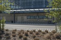 the building has a roof that allows ventilation for plants growing out of it and also a lawn bed to sit in