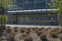 the building has a roof that allows ventilation for plants growing out of it and also a lawn bed to sit in