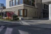 this is an image of a large building on a street corner in the city, with plants growing near it