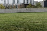 a cement block wall on a grass area outside of the building with a fire hydrant sitting behind it