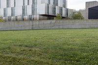 a cement block wall on a grass area outside of the building with a fire hydrant sitting behind it