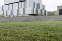 a cement block wall on a grass area outside of the building with a fire hydrant sitting behind it