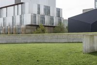 a cement block wall on a grass area outside of the building with a fire hydrant sitting behind it