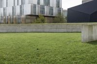 a cement block wall on a grass area outside of the building with a fire hydrant sitting behind it