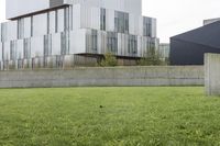 a cement block wall on a grass area outside of the building with a fire hydrant sitting behind it