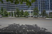 the sun is coming through a shadow of a tree on a street corner and two office buildings in the background