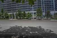 the sun is coming through a shadow of a tree on a street corner and two office buildings in the background