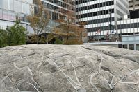 large rocks with drawings on them in front of a building in city setting with tall trees