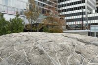 large rocks with drawings on them in front of a building in city setting with tall trees