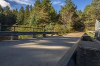 Toronto's Bridge: A Scenic View of the Lake and Trees