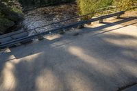 a concrete walkway leading to a river and two benches in the shade of trees next to it