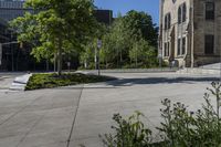 a sidewalk in front of a building with several benches and plants in the middle of it