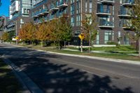 a sidewalk in front of a street with trees in the middle of it and many windows