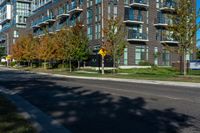 a sidewalk in front of a street with trees in the middle of it and many windows