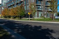 a sidewalk in front of a street with trees in the middle of it and many windows