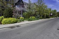 this is a paved street with house, green trees and plants growing in front of it