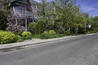 this is a paved street with house, green trees and plants growing in front of it