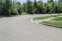 Curvy Suburban Road in Toronto, Canada - 001