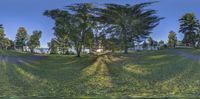 a green grassy hill surrounded by lots of trees with water running through it and sun shining through trees