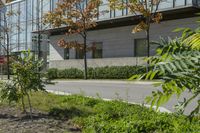 a motorcycle rider is riding on the street next to some trees and bushes with a glass building in the background