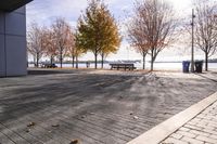 Toronto Canada House with Tree, Backyard, and Pier