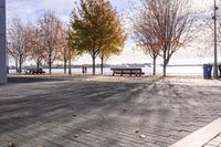 Toronto Canada House with Tree Backyard and Pier 005